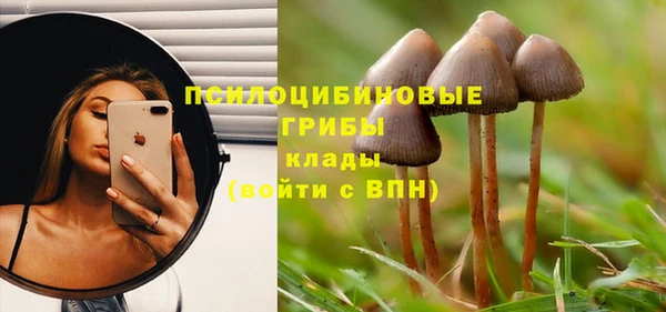 ALPHA-PVP Осташков