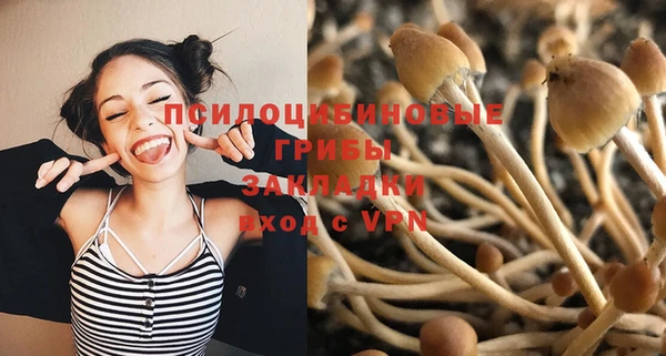 ALPHA-PVP Осташков