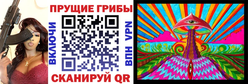 Галлюциногенные грибы GOLDEN TEACHER  купить   Щучье 
